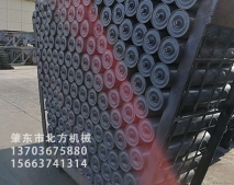 ¯丽